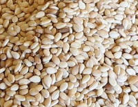 Sesame seeds